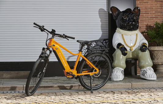 Meet The Electric Bikes That Are Taking Over Central Park