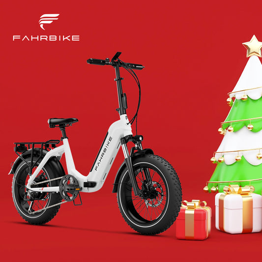 Christmas Holidays Outdoor Goodie