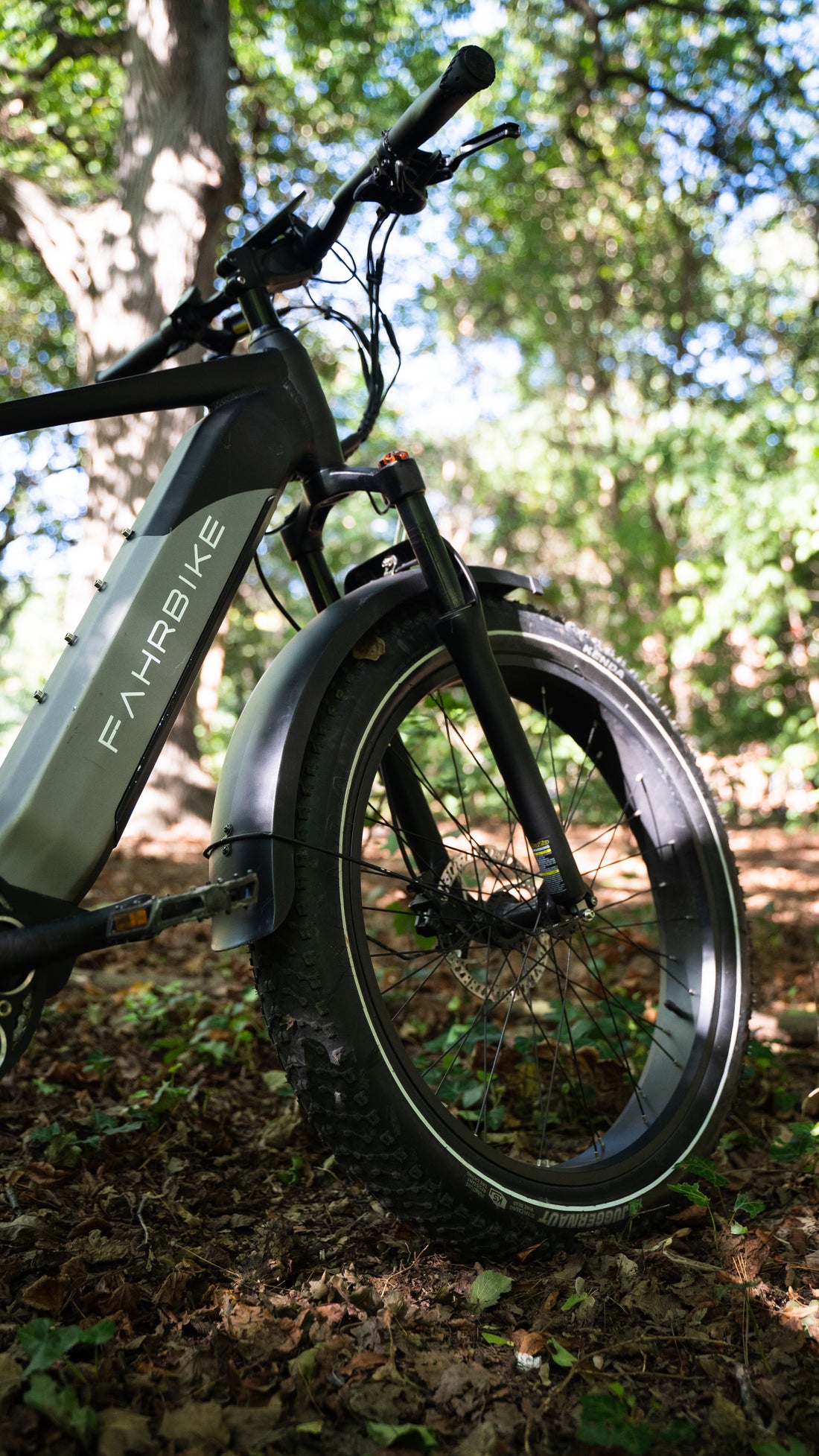 How to Easily Adjust Tire Pressure on a Fat Tire Bike