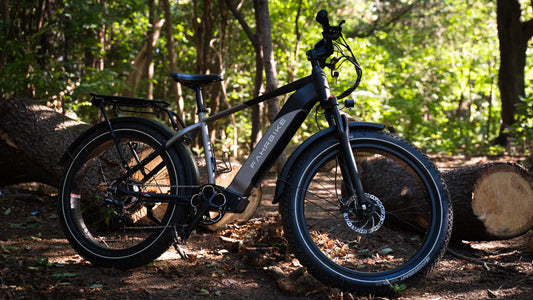 Fat Tires vs. Narrow Tires for E-Bikes: Finding the Right Fit for Your Ride