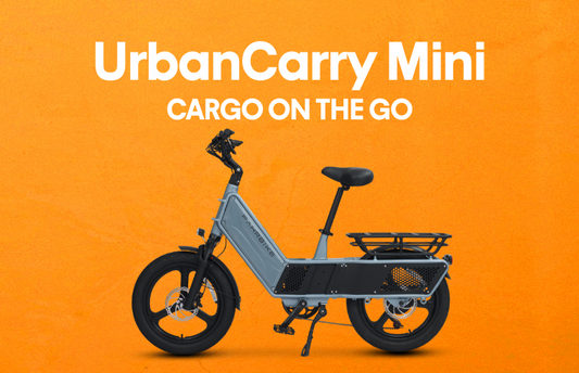 LONGTAIL-REAR-RACK-CARGO-EBIKE-MINI
