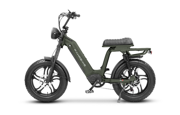dark-green Fahrbike Roadster73 Plus 750W | Moped-Style eBike