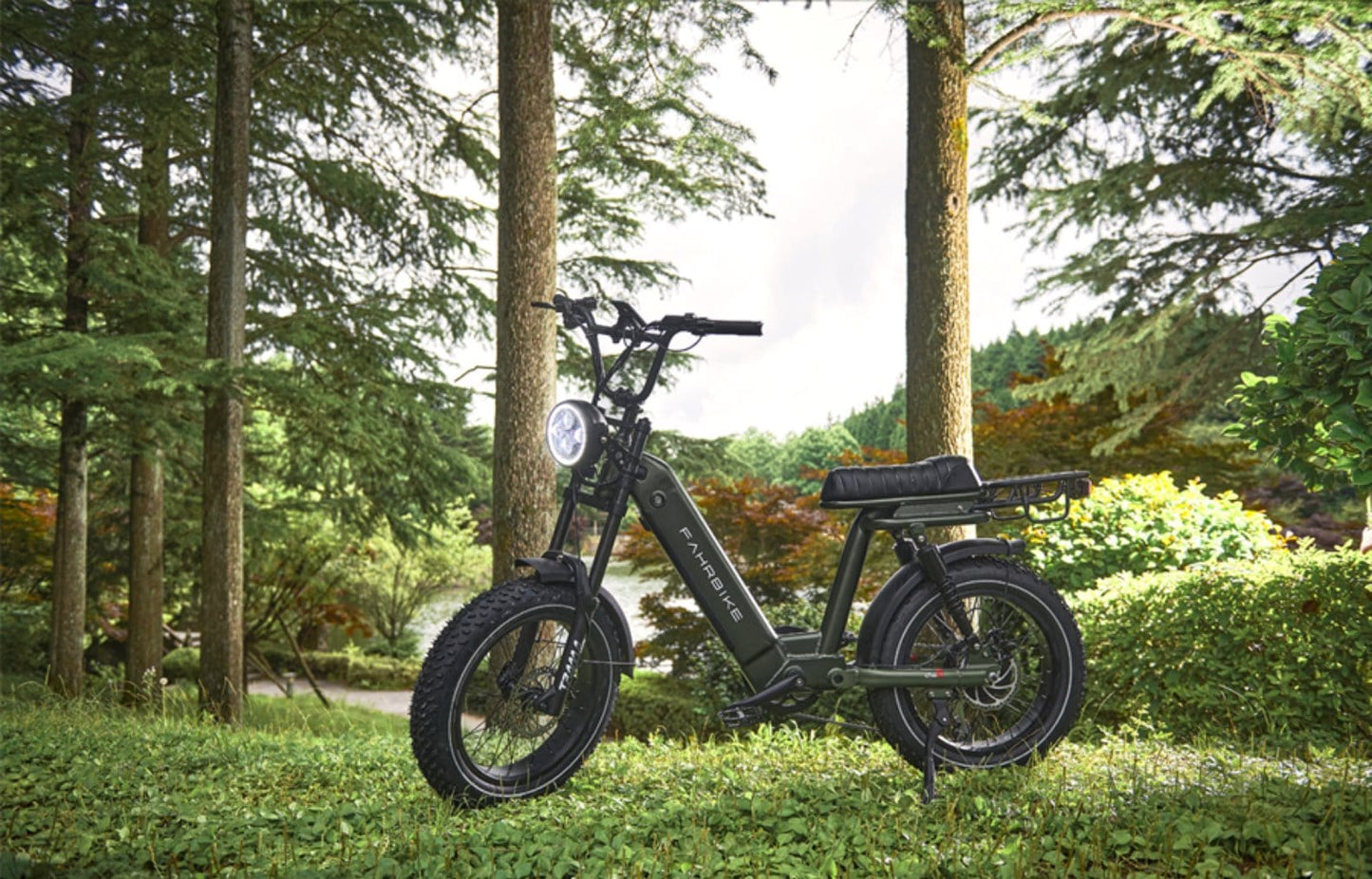 dark-green Moped-Style eBike Roadstar73 750W | Fahrbike eBikes