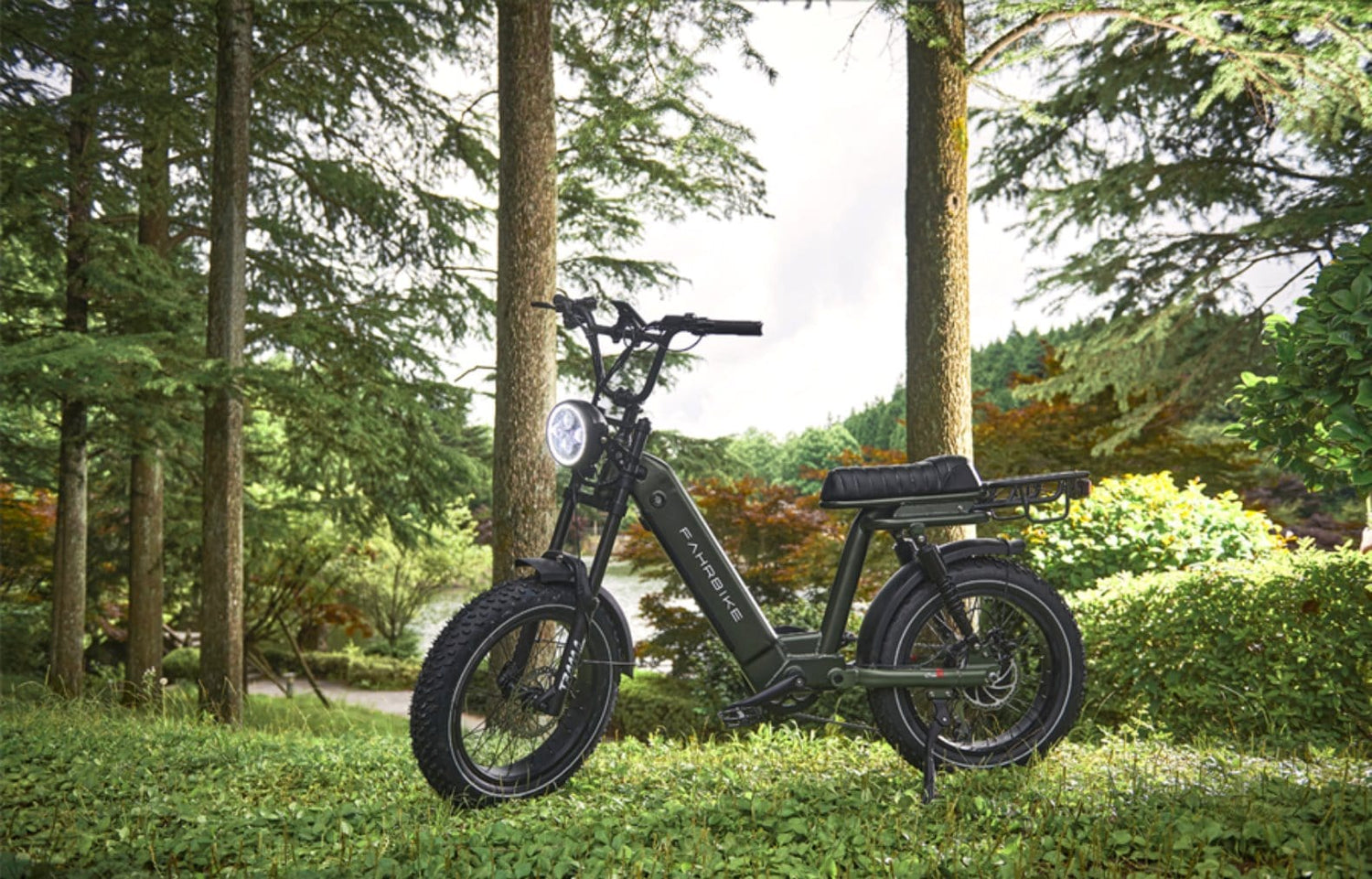 dark-green Moped-Style eBike Roadstar73 750W | Fahrbike eBikes