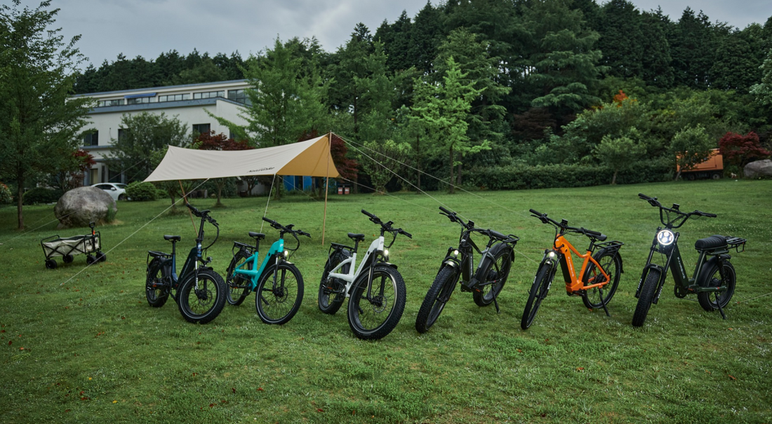 A Beginner's Guide to Electric Bikes: How to Get Started with Fahrbike