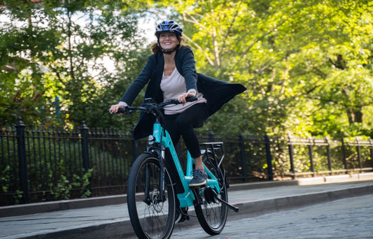 Riding the Wind: E-Bike Poetry and the Fahrbike Cruz 500W