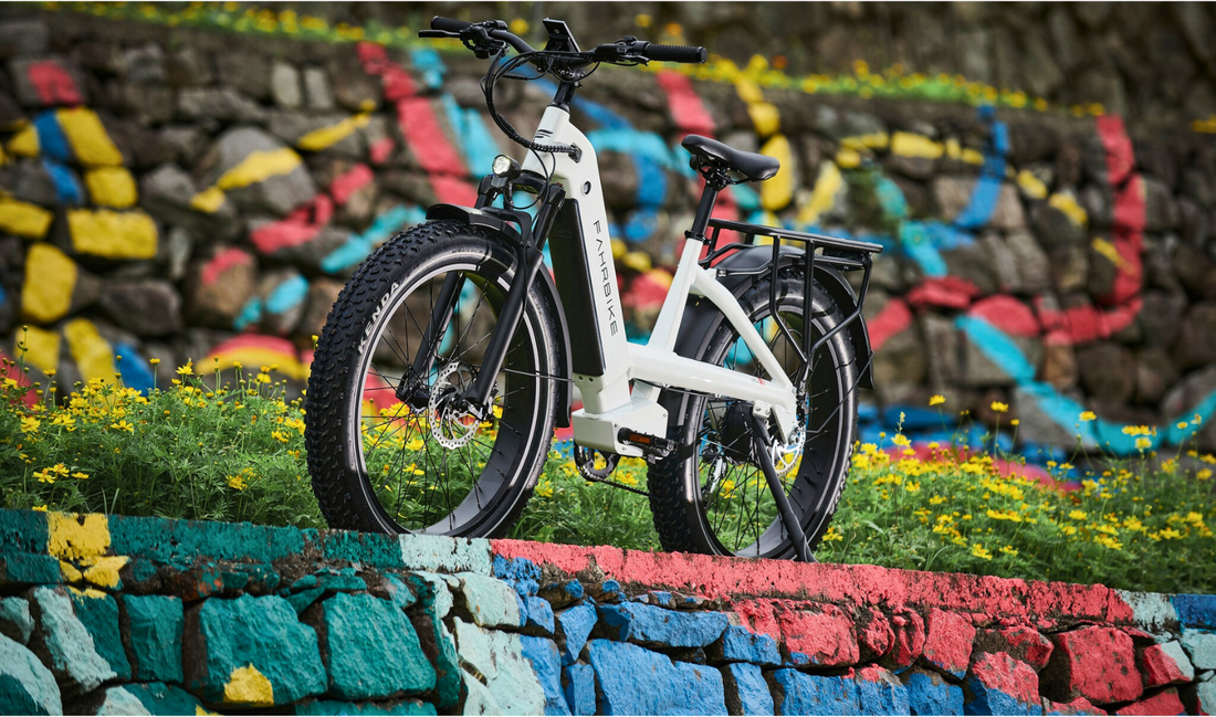 Fahrbike-Terra-eBike-Bike-Parks