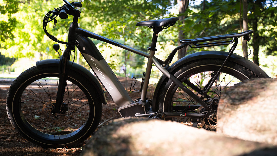 Unleashing Freedom on Two Wheels: Celebrating Independence Day with All-Terrain E-Bikes