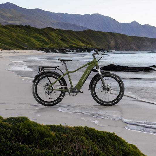 Exploring the Adventurous Fahrbike Terra Ebike: A Powerful All-Terrain Companion